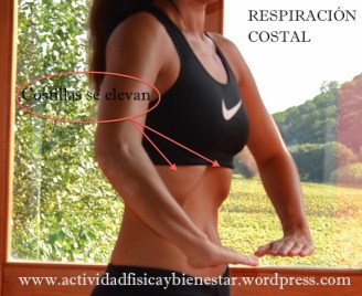 Respiracioncostal