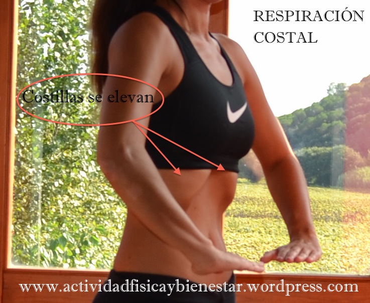 ¿QUÉ SON LOS ABDOMINALES&nbsp;HIPOPRESIVOS?