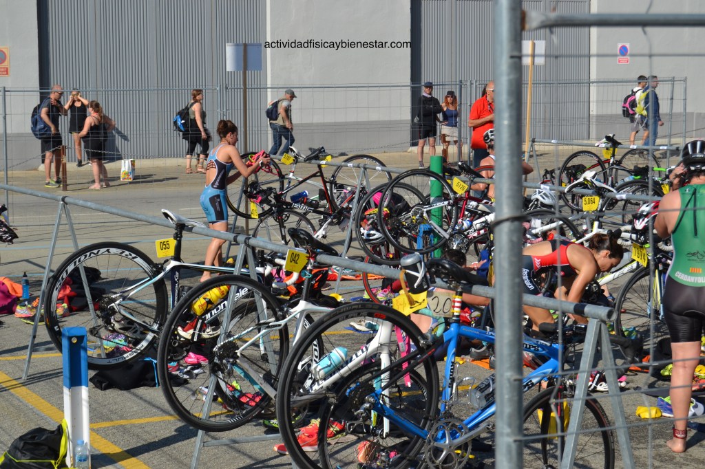 Triatló d'Arenys de Mar