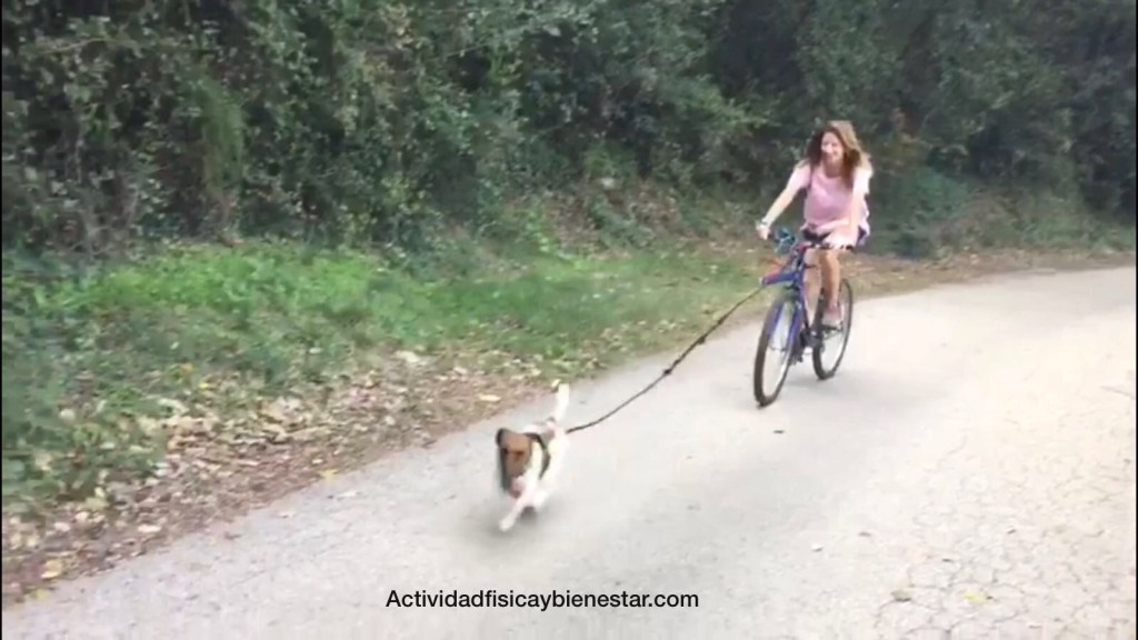 ¿QUÉ ES EL&nbsp;BIKEJORING?